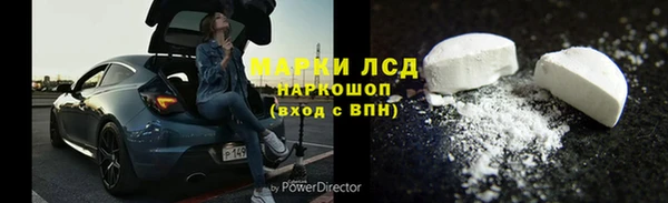 сатива Володарск
