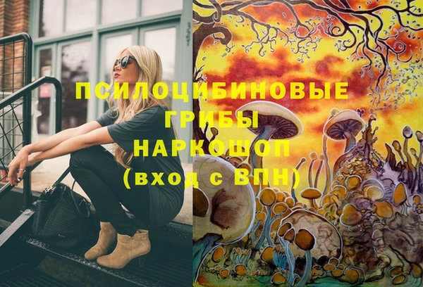 ГАЛЛЮЦИНОГЕННЫЕ ГРИБЫ Новодвинск