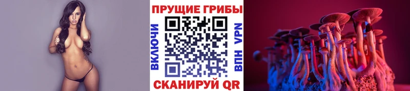 цена   Лосино-Петровский  блэк спрут как войти  Псилоцибиновые грибы Cubensis 